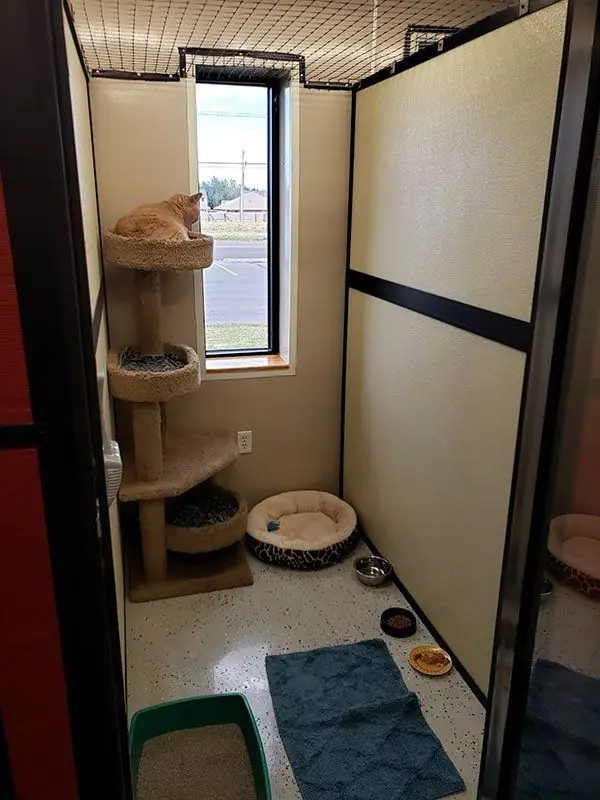 A complete Garden Room at Aristocats seen through the doorway, with a carpeted cat tree at the window, a bed and floor mats