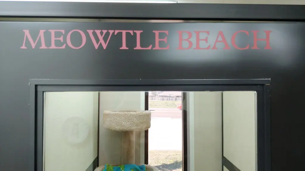 The door of the Meowtle Beach suite at Aristocats, its name lettered above the glass, a cat tree visible inside
